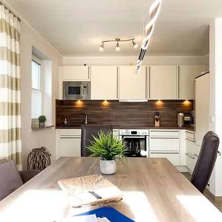 Kleiner Seehund Kirr