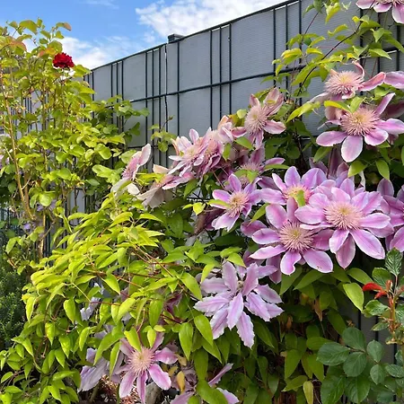 Vakantiehuis Kleiner Seehund Kirr